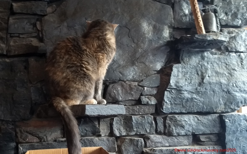 Kitty-enjoying-the-heat-of-a-masonry-heater